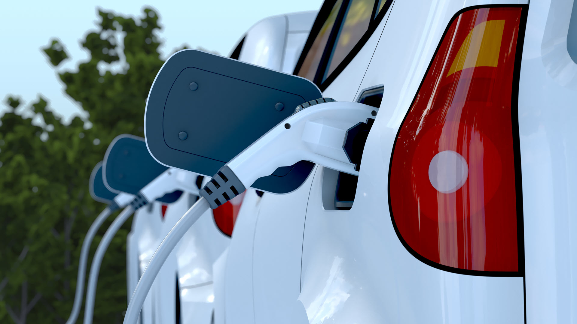 Two electric vehicles being charged